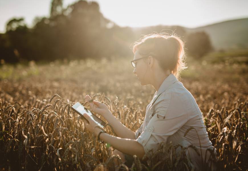 farmer-evaluating-crop-tablet