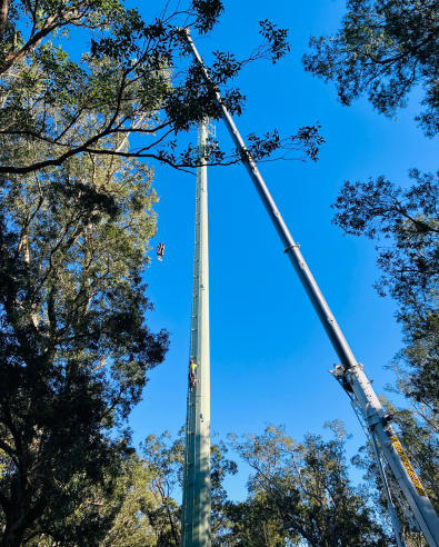 A worker is climbing an nbn Fixed Wireless tower, with a crane alongside, against a clear sky and leafy surrounding trees