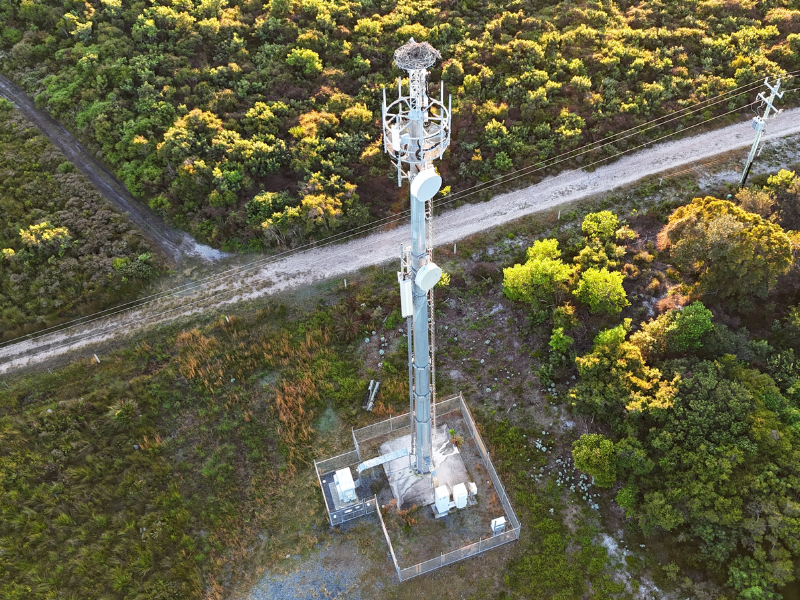 A bird's nest sits atop an elevated platform on an nbn Fixed Wireless tower surrounded by bushland and gravel access road